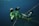 A diver in full gear holds a large, colorful fish underwater. The fish is a vibrant green and yellow with distinct patterns. The diver wears a wetsuit and snorkel, surrounded by a dark blue ocean backdrop.
