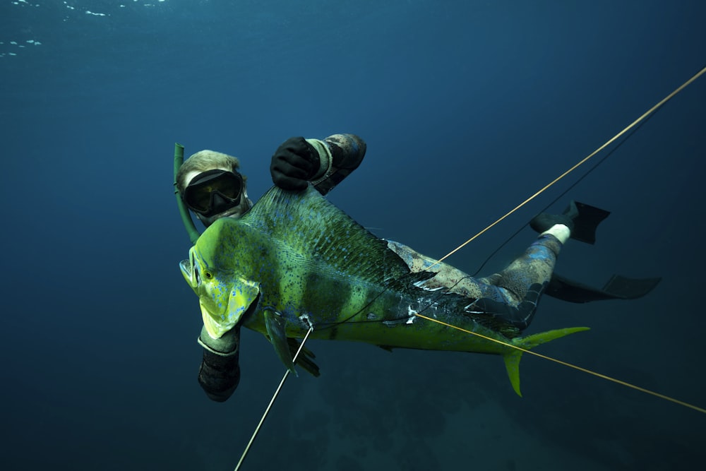 a large fish is hooked up to a rope