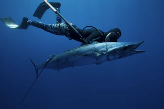A diver in a wetsuit and fins is underwater, holding a large fish that appears to be a barracuda. The scene is set in deep blue ocean water, giving it a serene and adventurous atmosphere.