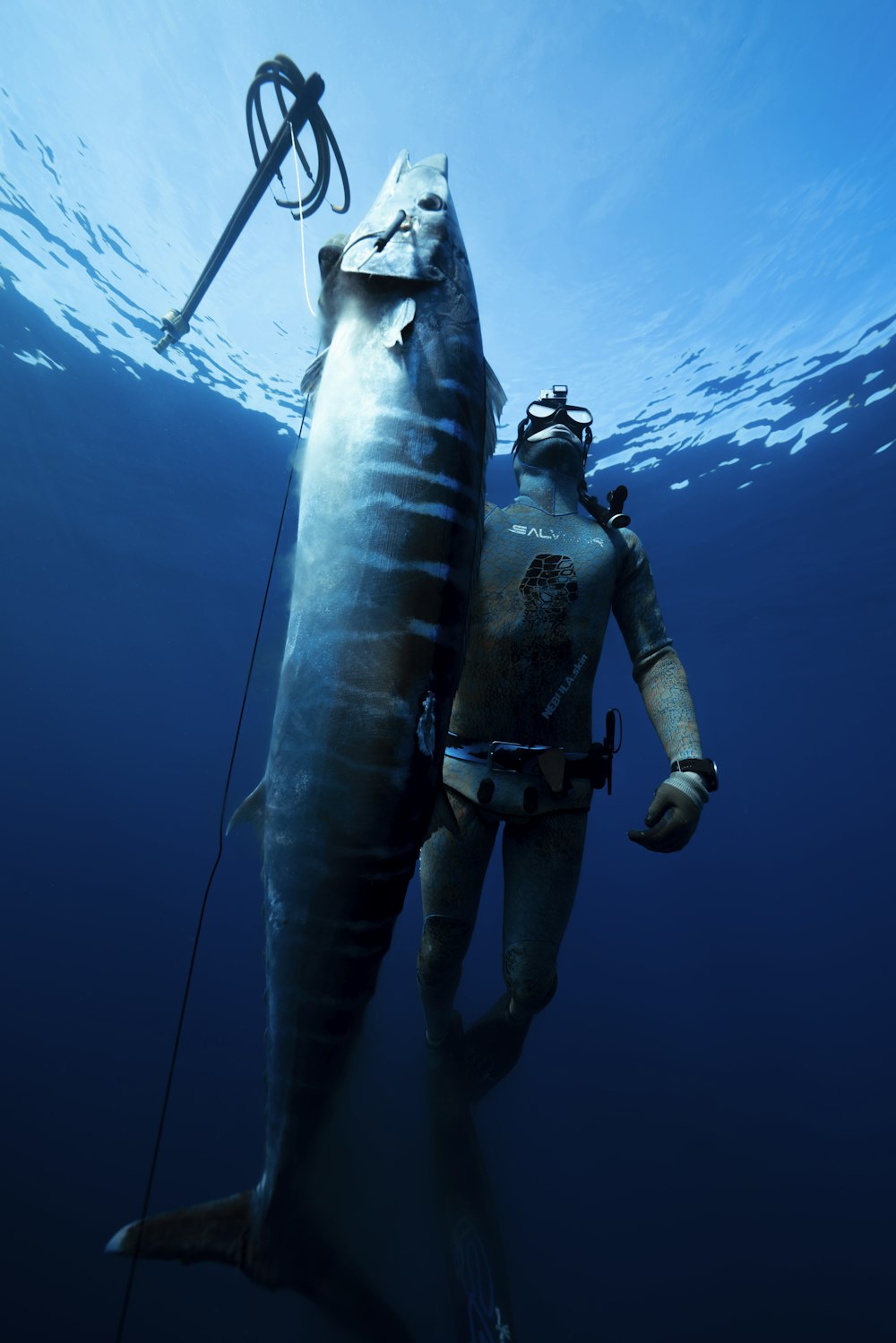 Ein Mann hält einen großen Fisch im Wasser