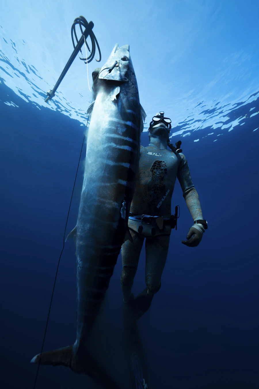 Spearo holding a catch in the water
