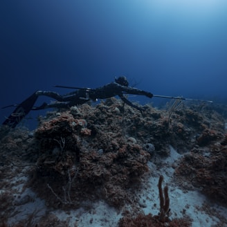 an underwater photo of a scuba diver on a coral reef