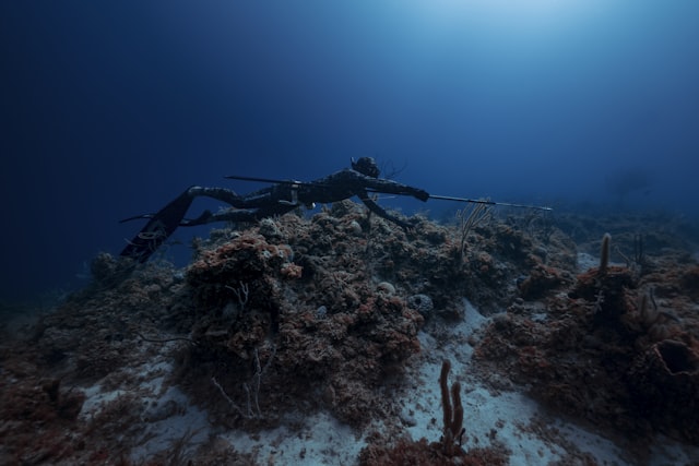 Spearfishing and freediving