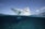 An image of a luxury yacht under protection, symbolizing safety and security.