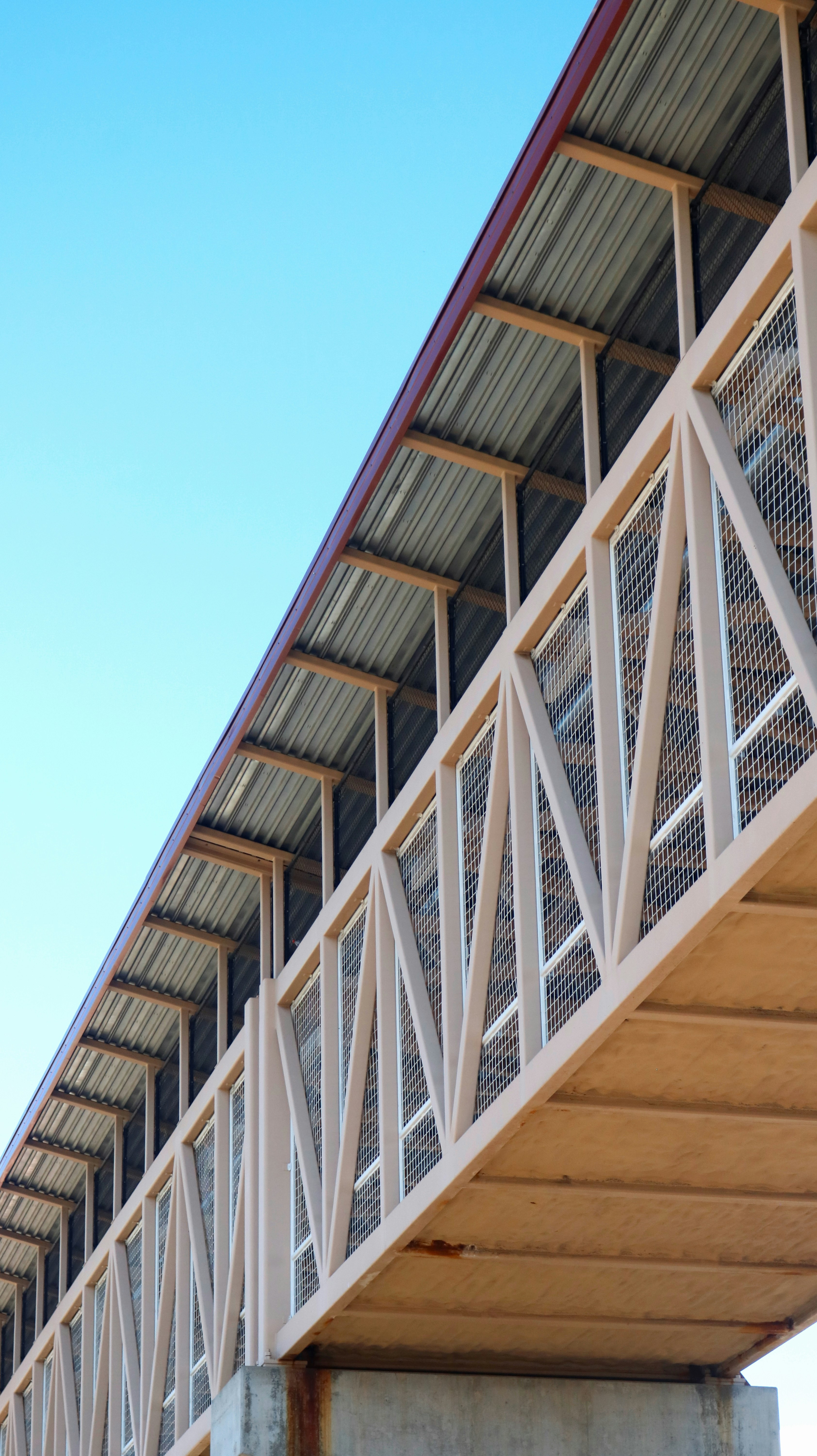 Photo by heberdavisphotography