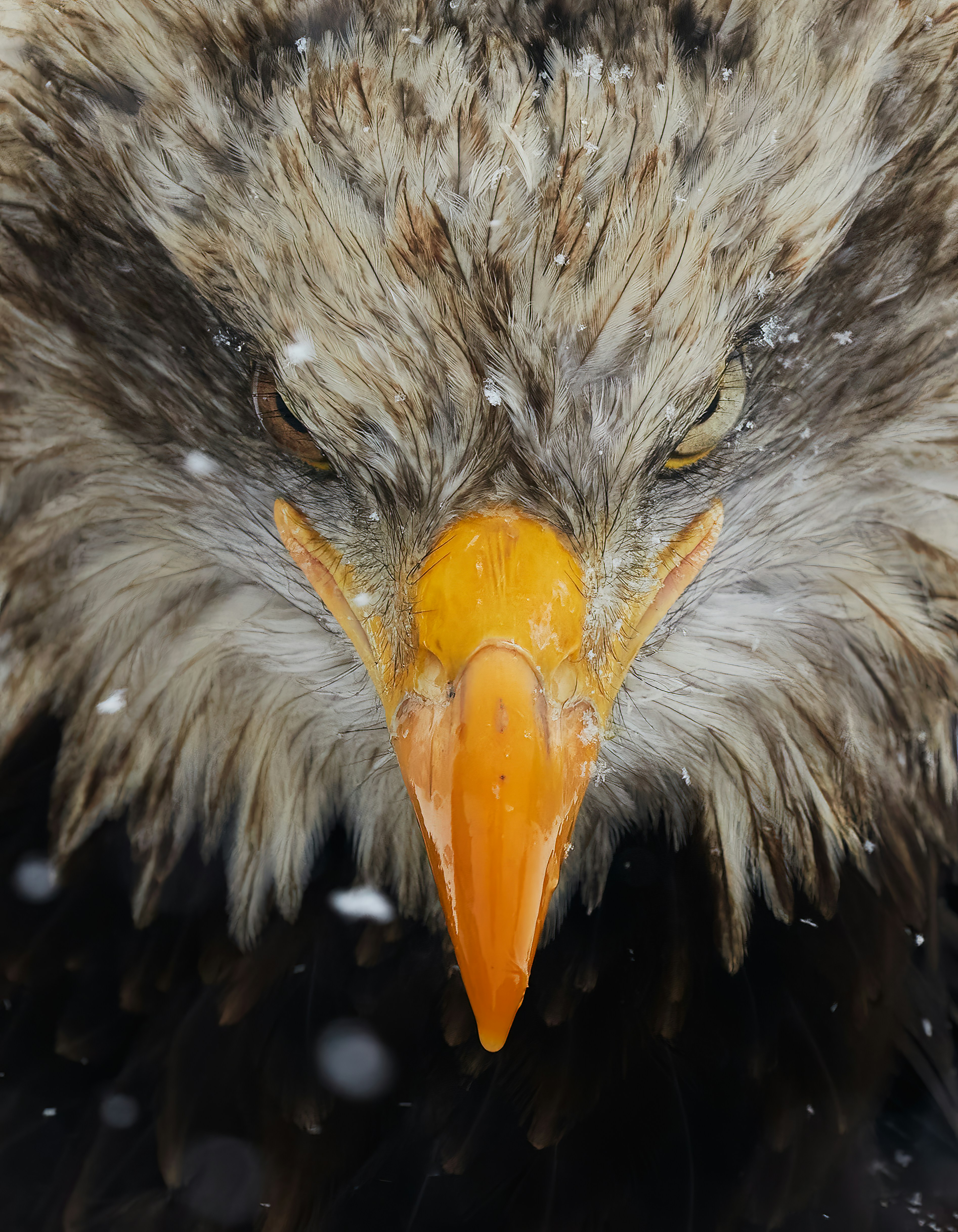 फागुनमा ब्याजदर यथावत राख्ने बैंकर्स संघको निर्णय