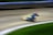 A blurred image capturing a high-speed motorcycle racing around a dirt track. The motion blur emphasizes the speed and dynamic movement of the motorbike, which is positioned at a sharp angle, suggesting a turn. The background includes a blurred track barrier and patches of green, hinting at grass or vegetation alongside the track.