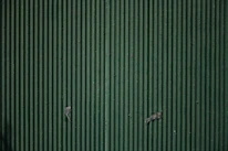 Close-up of smooth galvanized steel surface on a gas meter shelter with even electrostatic paint.