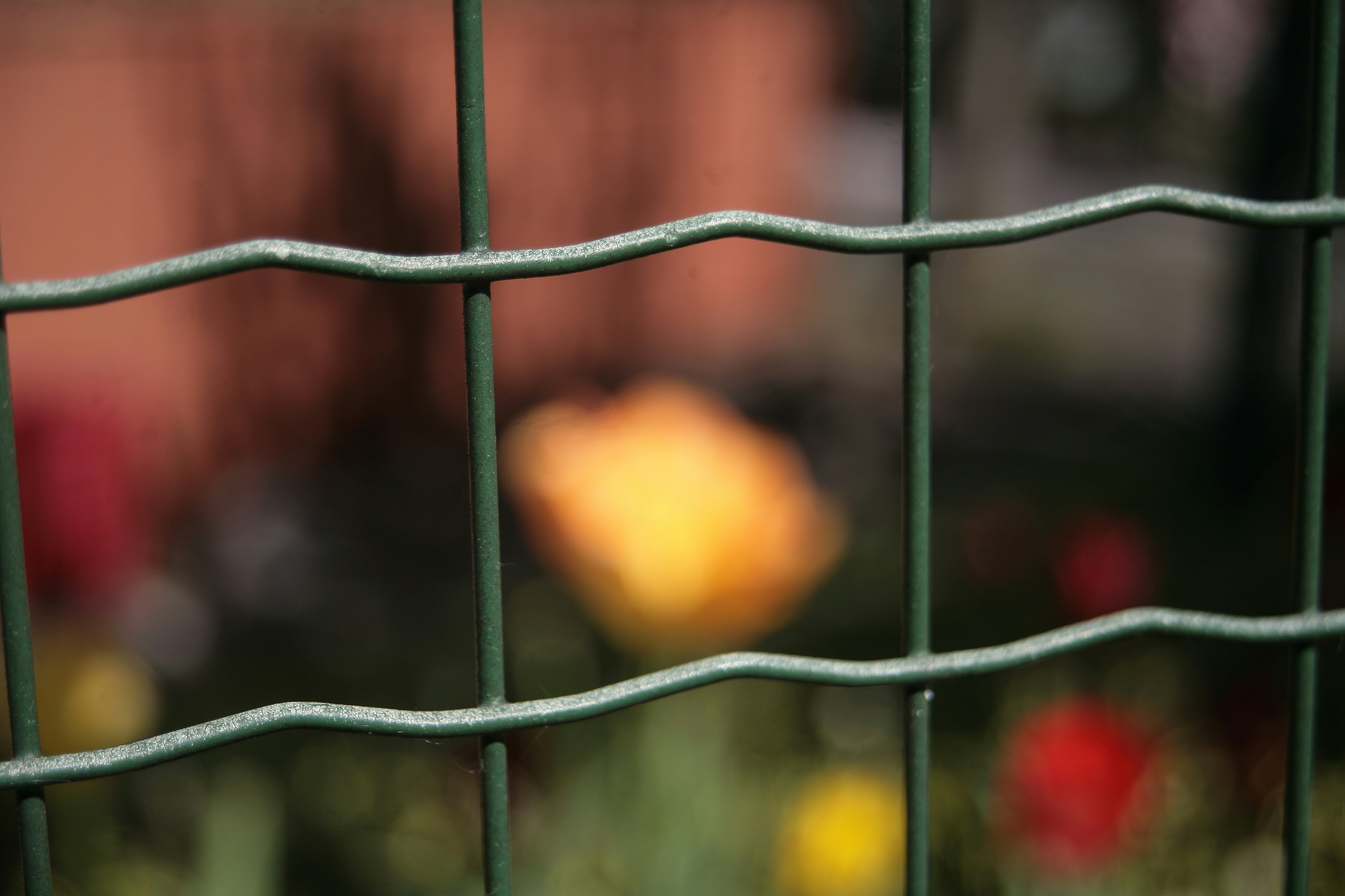 a close up of a fence with flowers in the background
