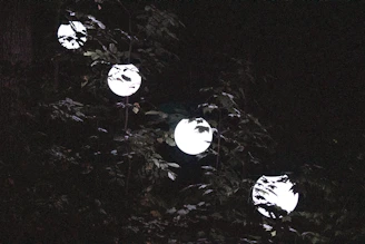 A mysterious glowing orb hovering over a misty forest at twilight.