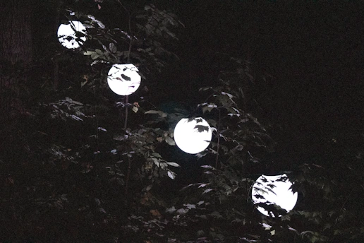 A mysterious glowing orb hovering over a misty forest at twilight.