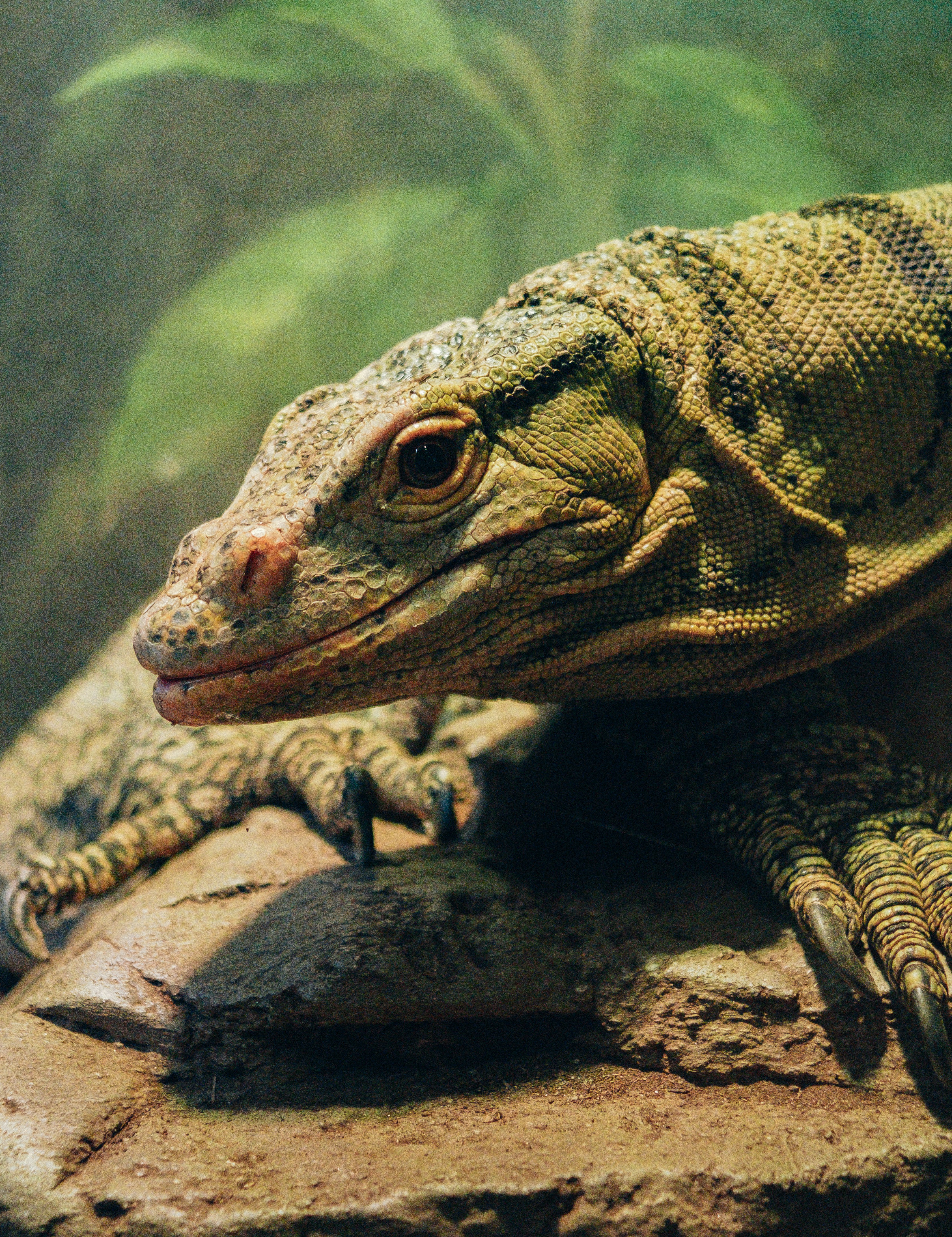 Photo by zacmeadowcroft