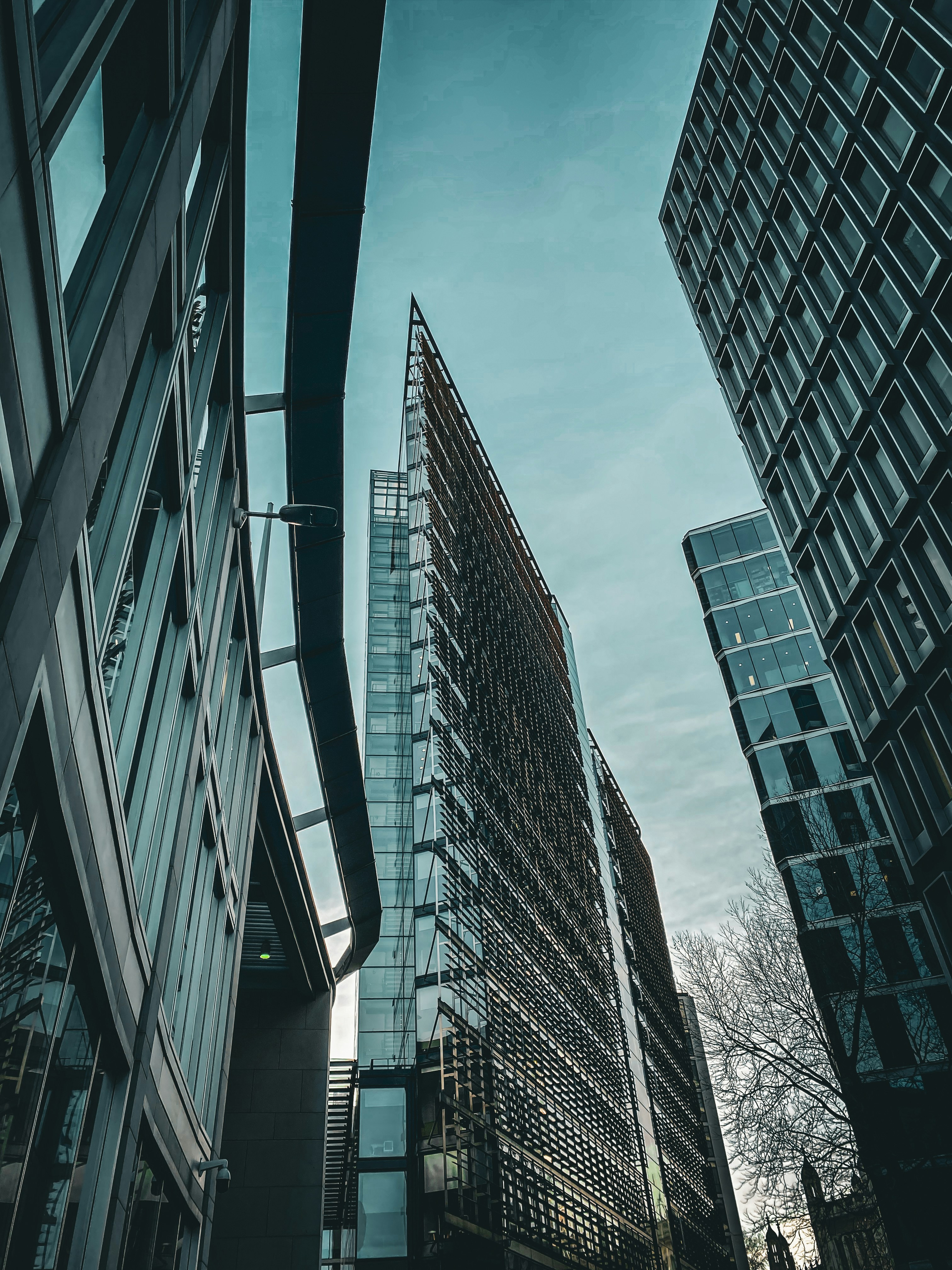 Photo by alex_emanuel20