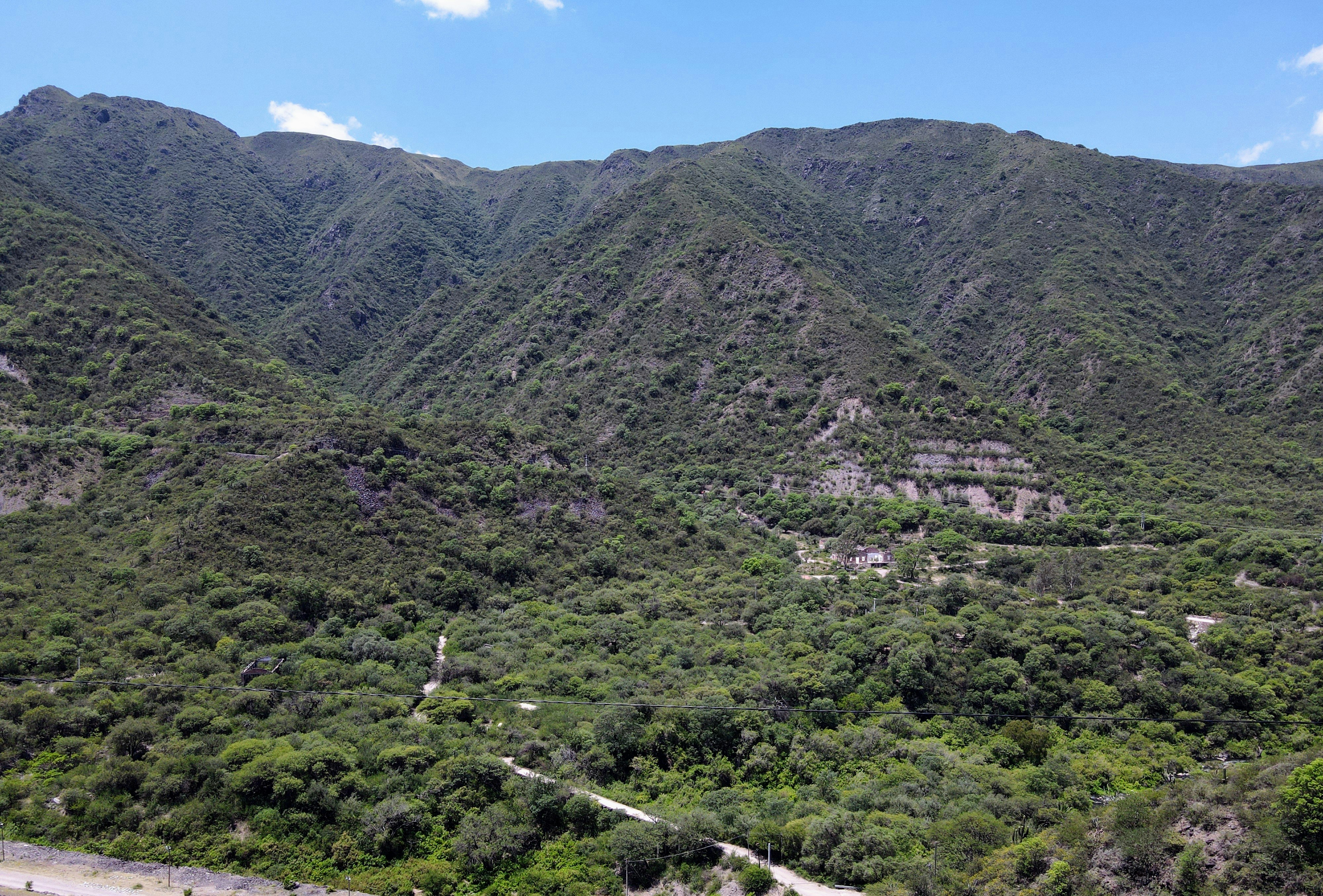 Photo by argentinanatural