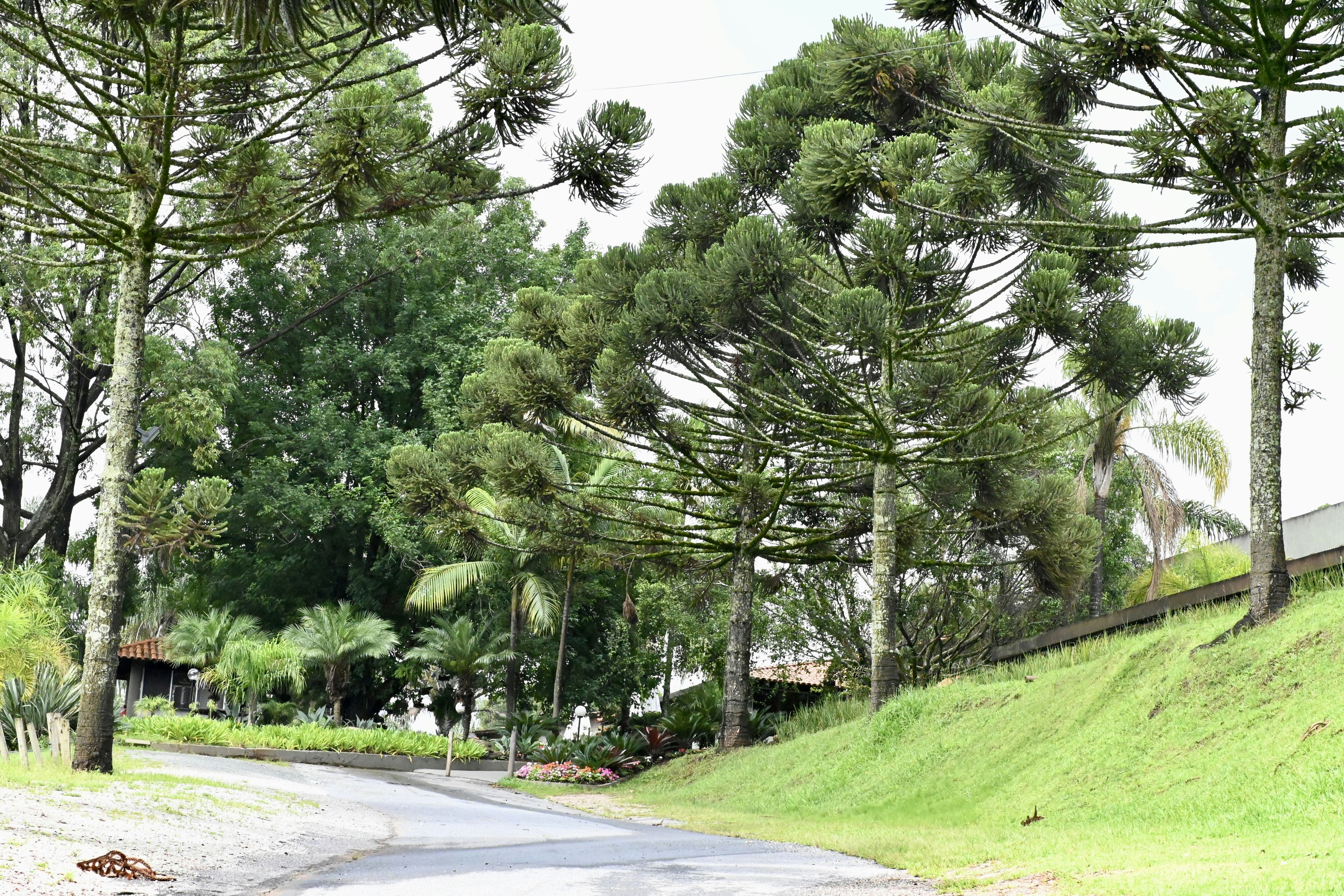 Praça Coronel Custódio Pinheiro