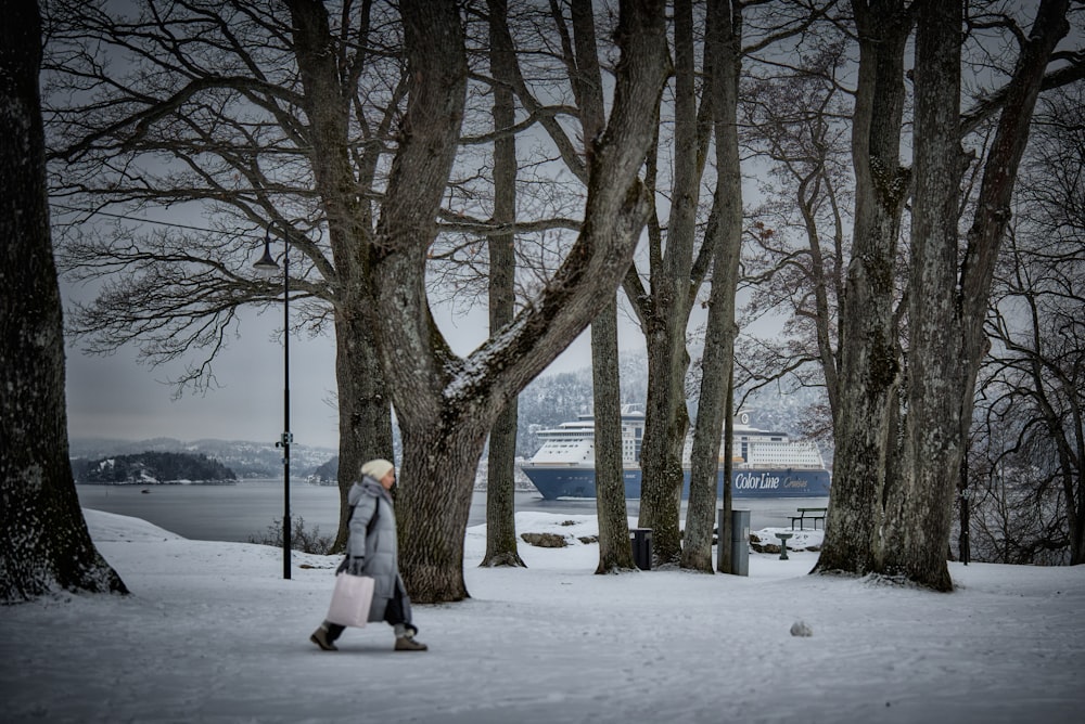 a woman walking in the snow with a suitcase