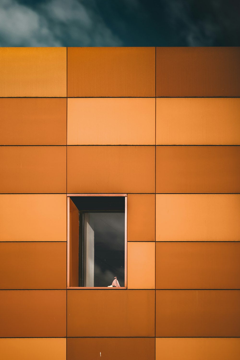 a person looking out of a window of a building