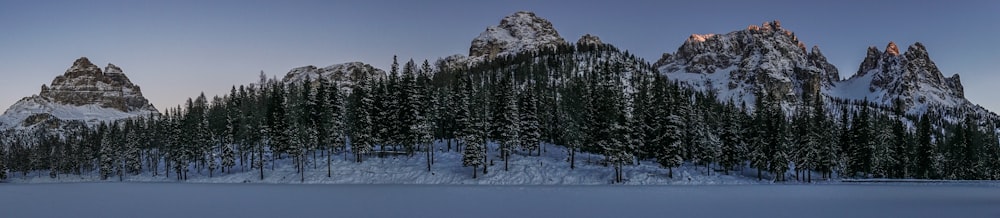 a mountain range covered in snow next to a forest