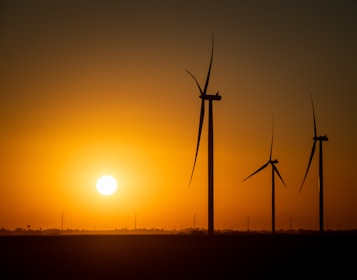 a group of windmills are silhouetted against a sunset