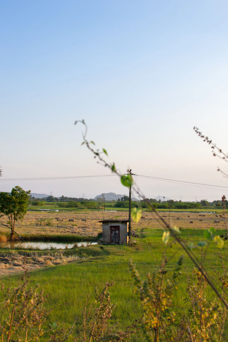 A grassy open field with a small building in the distance, Tamil Nadu