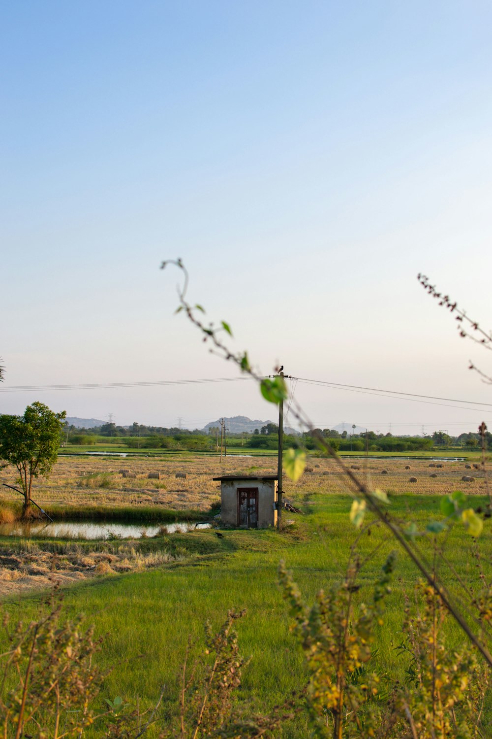 a grassy field with a small building in the distance