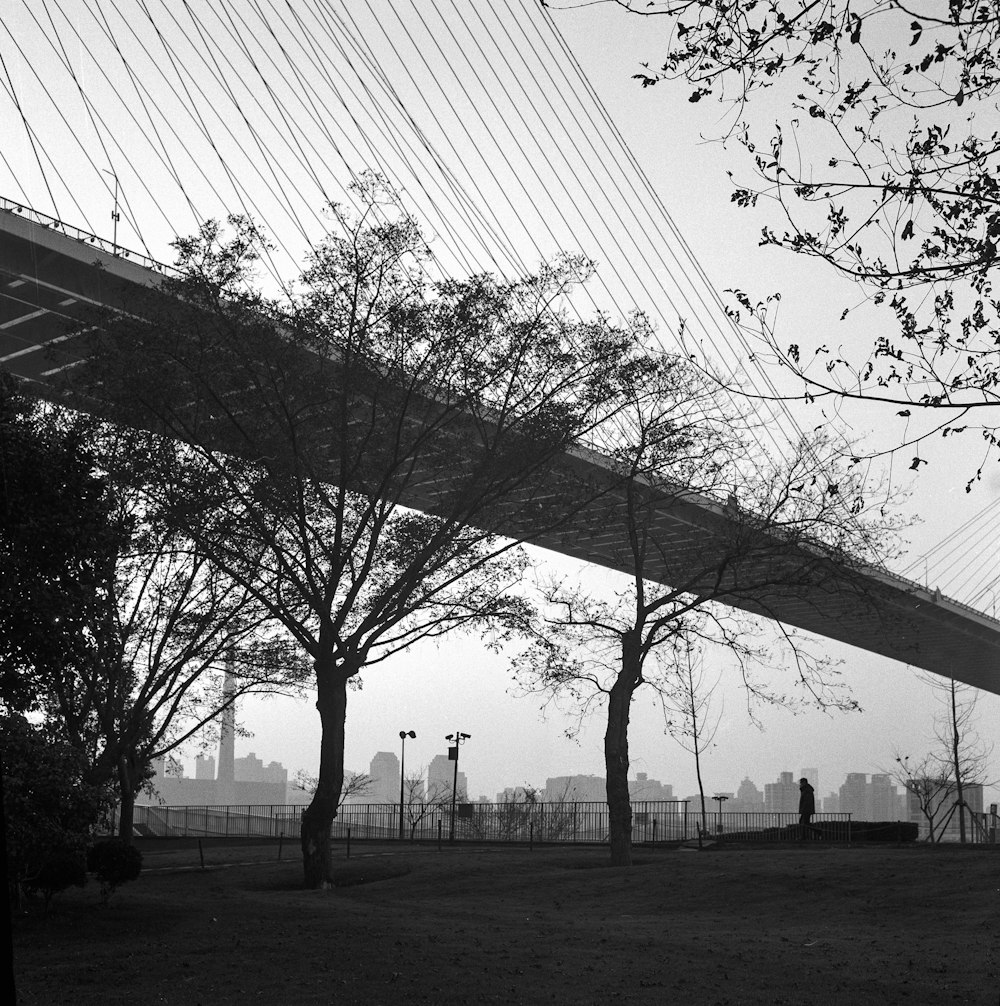 a black and white photo of a bridge