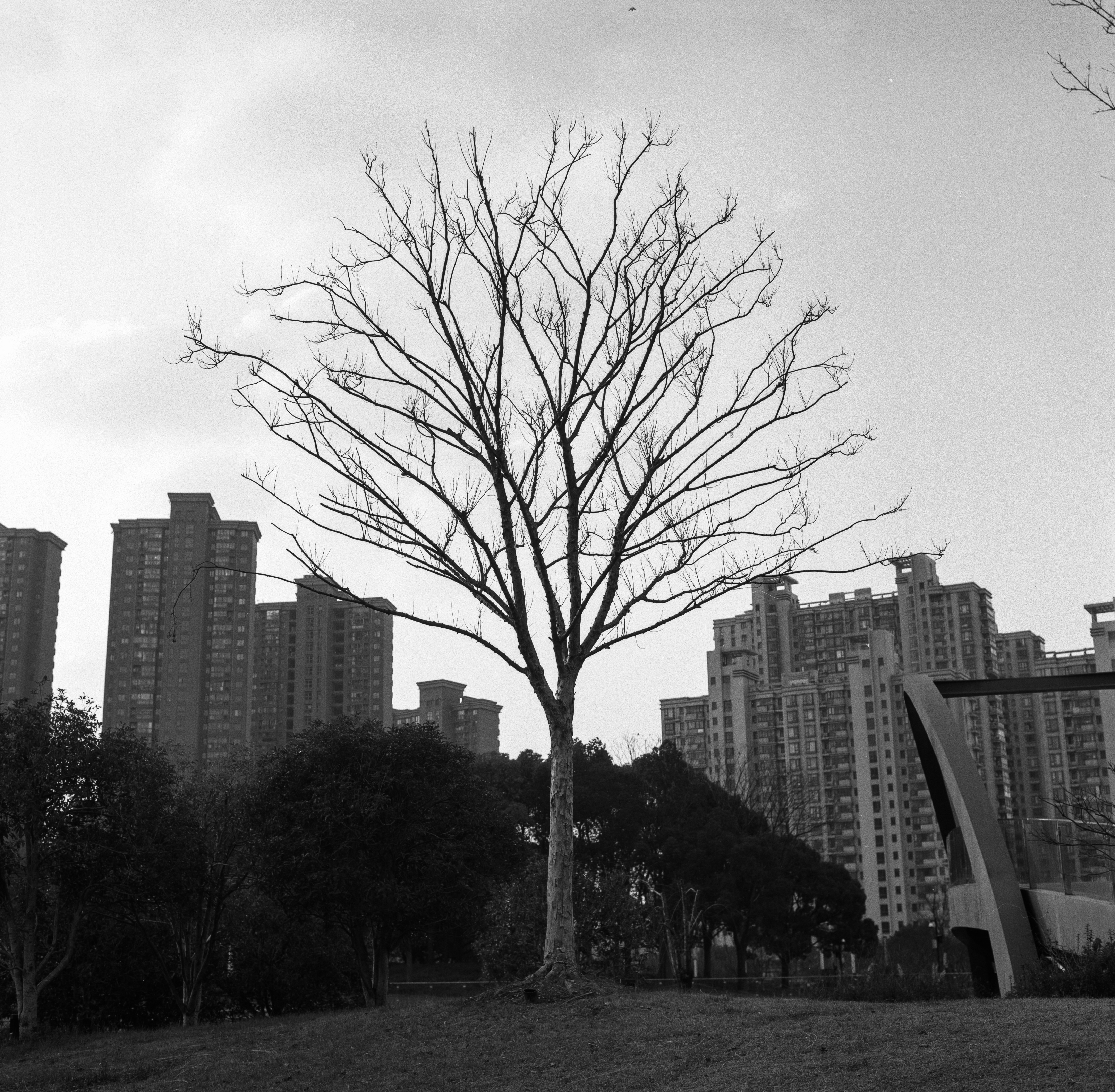 Containers in Lone Tree, CO