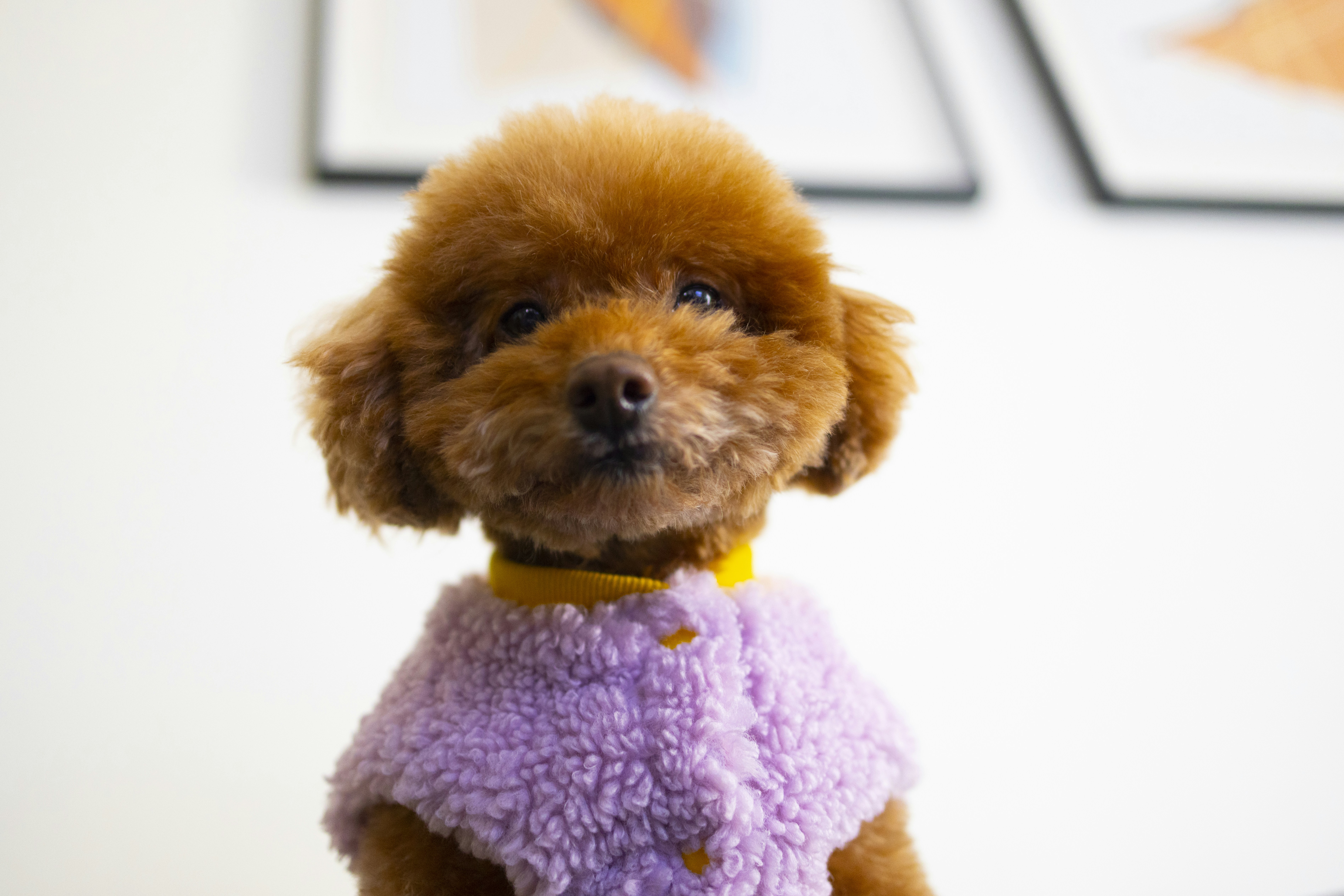 Photo by arttoinspire