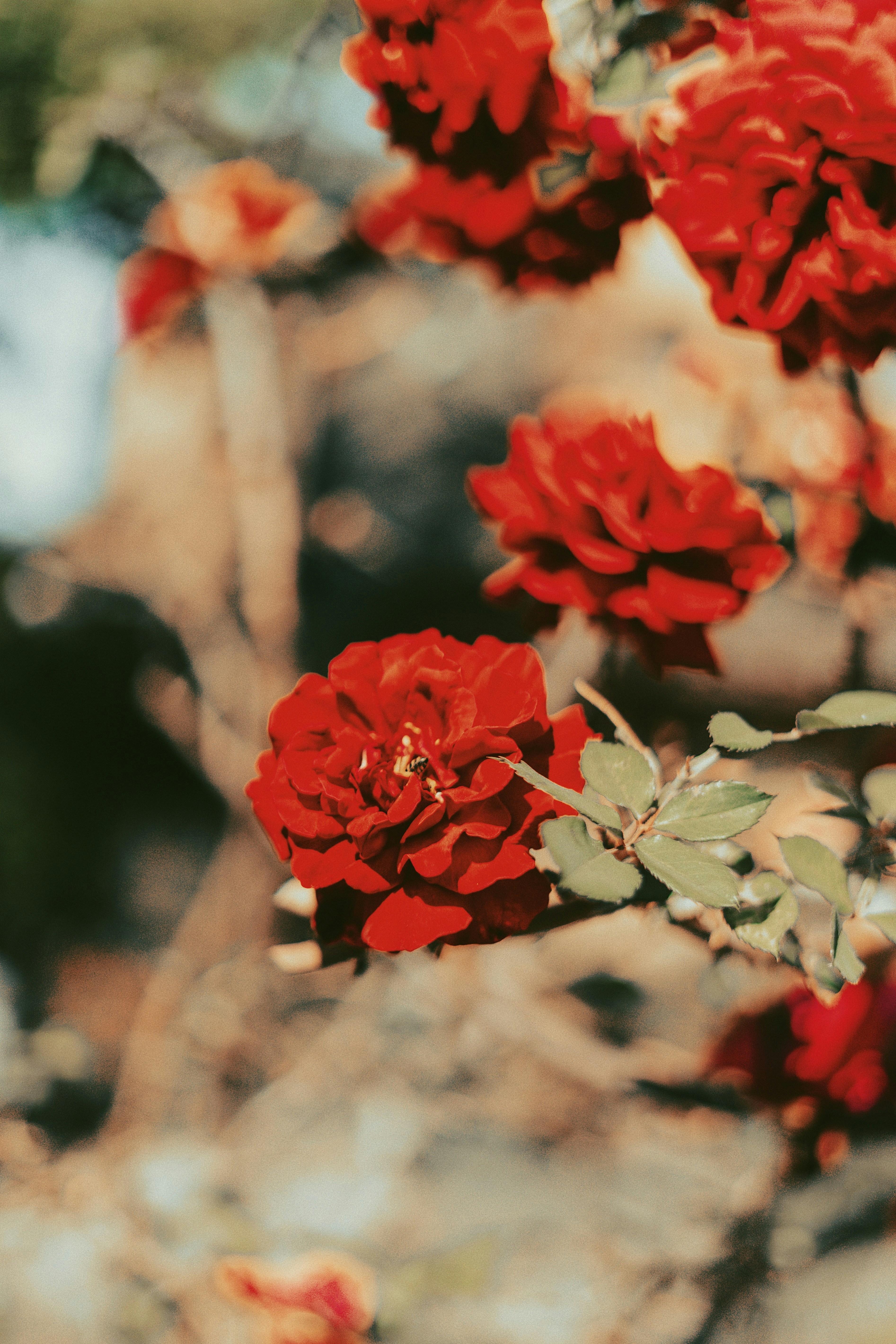 Photo by upsidedownkingdom