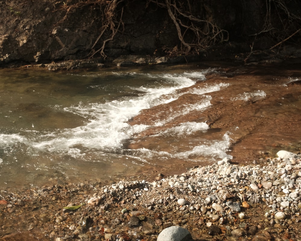 une rivière qui coule à travers une forêt remplie de beaucoup de rochers