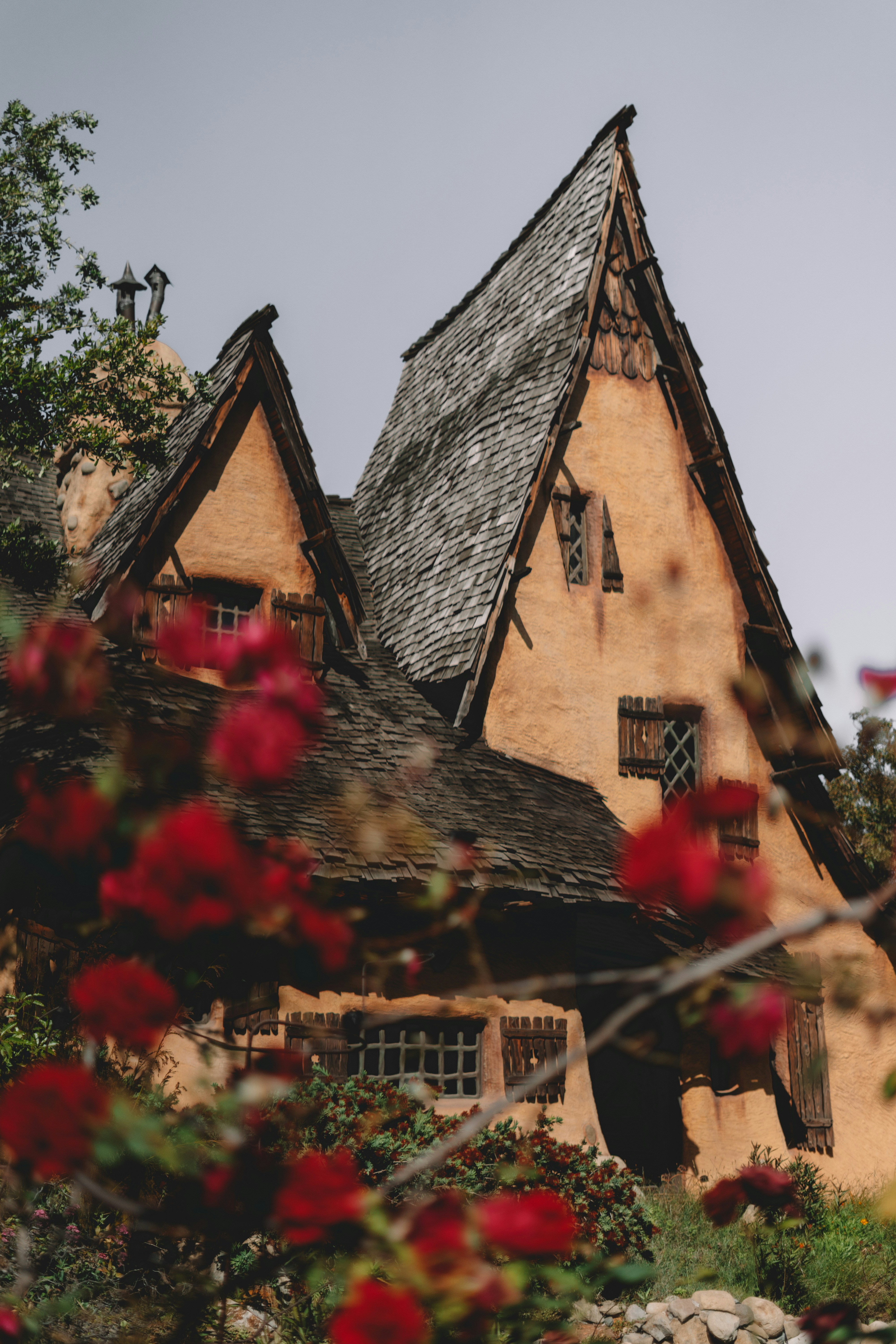 a house with a thatched roof and red flowers in front of it