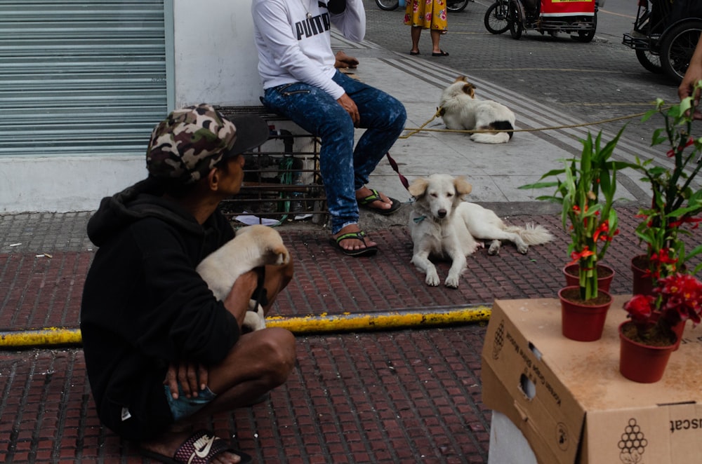 a man sitting on a bench with two dogs