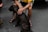 A person is seated on a chair, wearing a yellow shirt and casual shorts, holding a dark-colored dog on a leash. The scene is set on a paved surface, and the person is wearing black sliders.