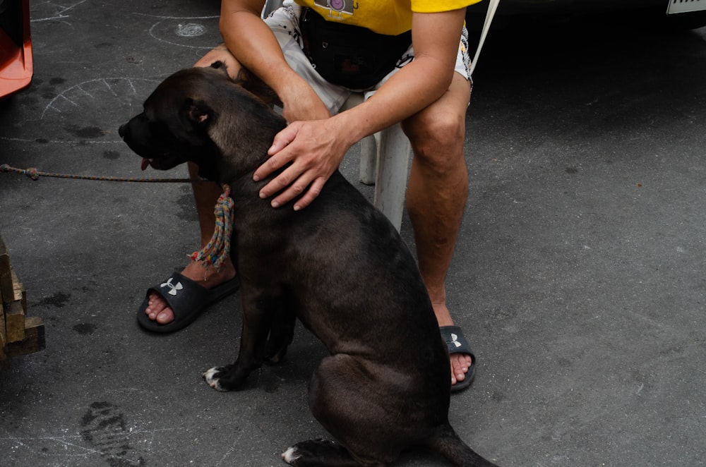 a man kneeling down next to a dog on a leash