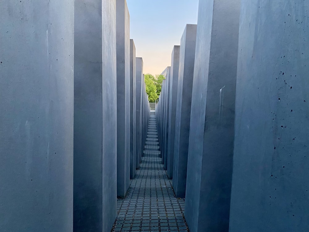 a walkway lined with cement blocks leading to trees