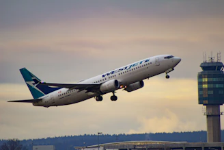 An airplane taking off at sunrise, symbolizing swift air freight services.