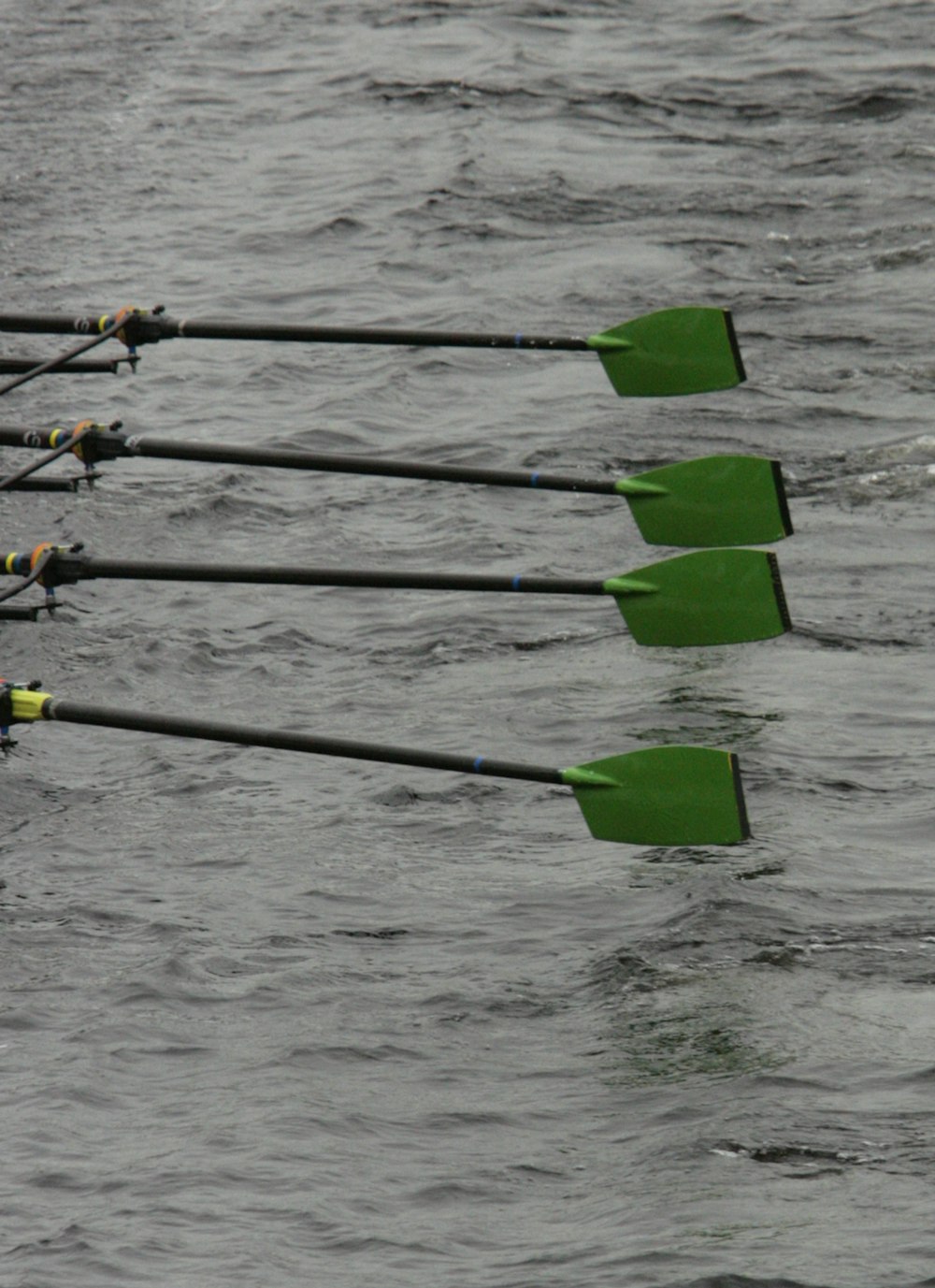 a row of green paddles in the water