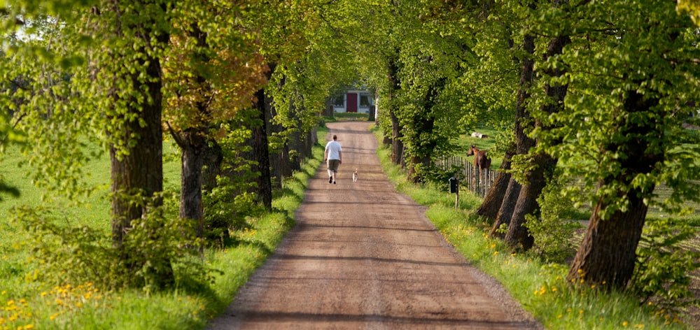 a person walking down a dirt road between trees