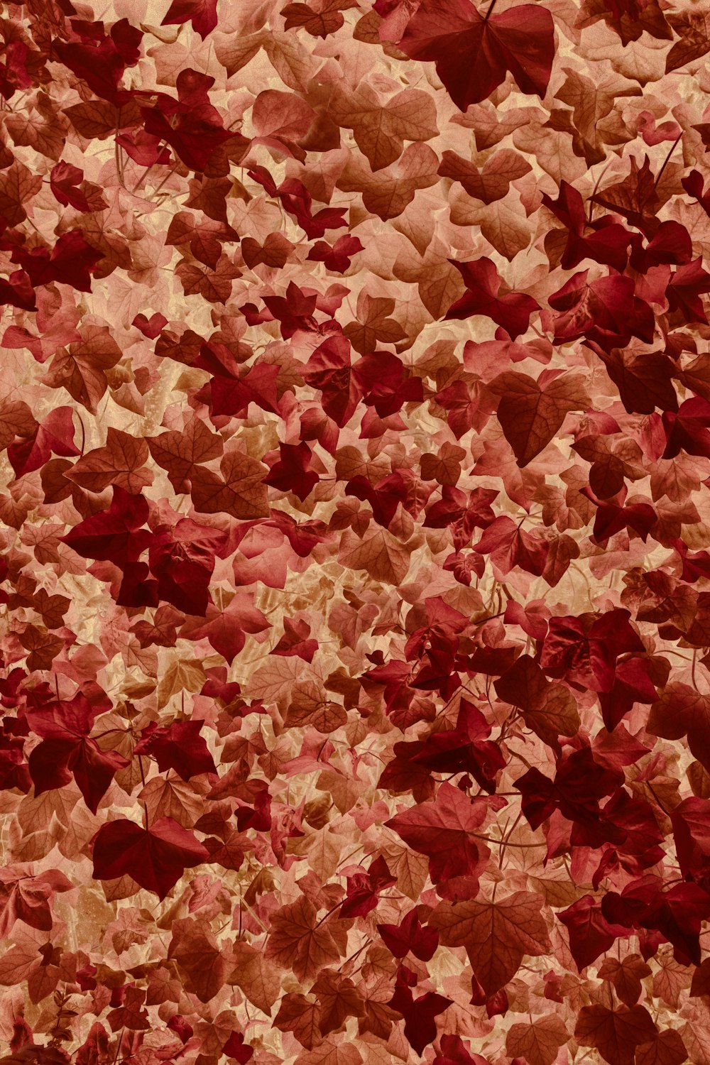 a red and beige background with leaves on it