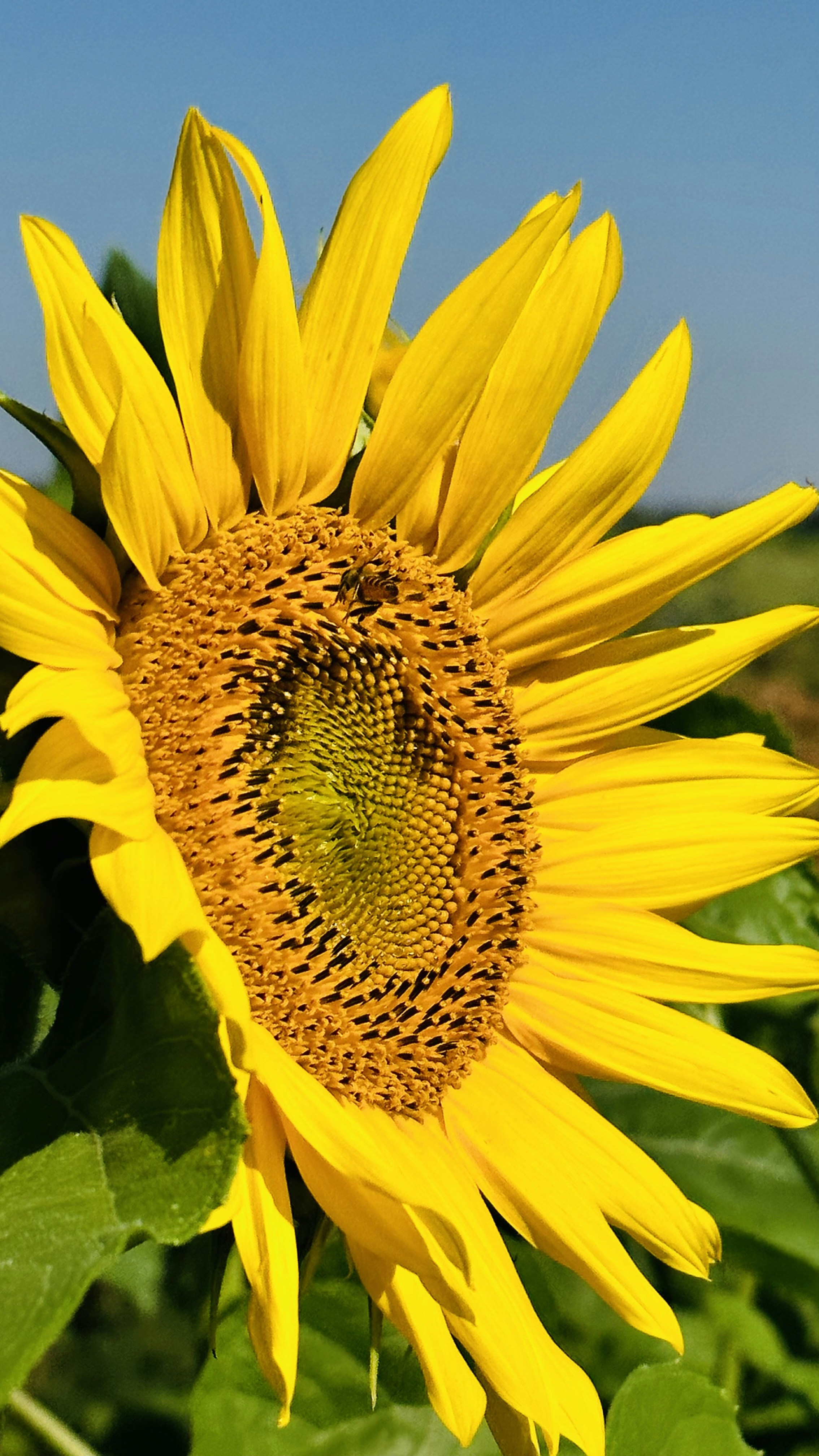 Photo by manwhocodes