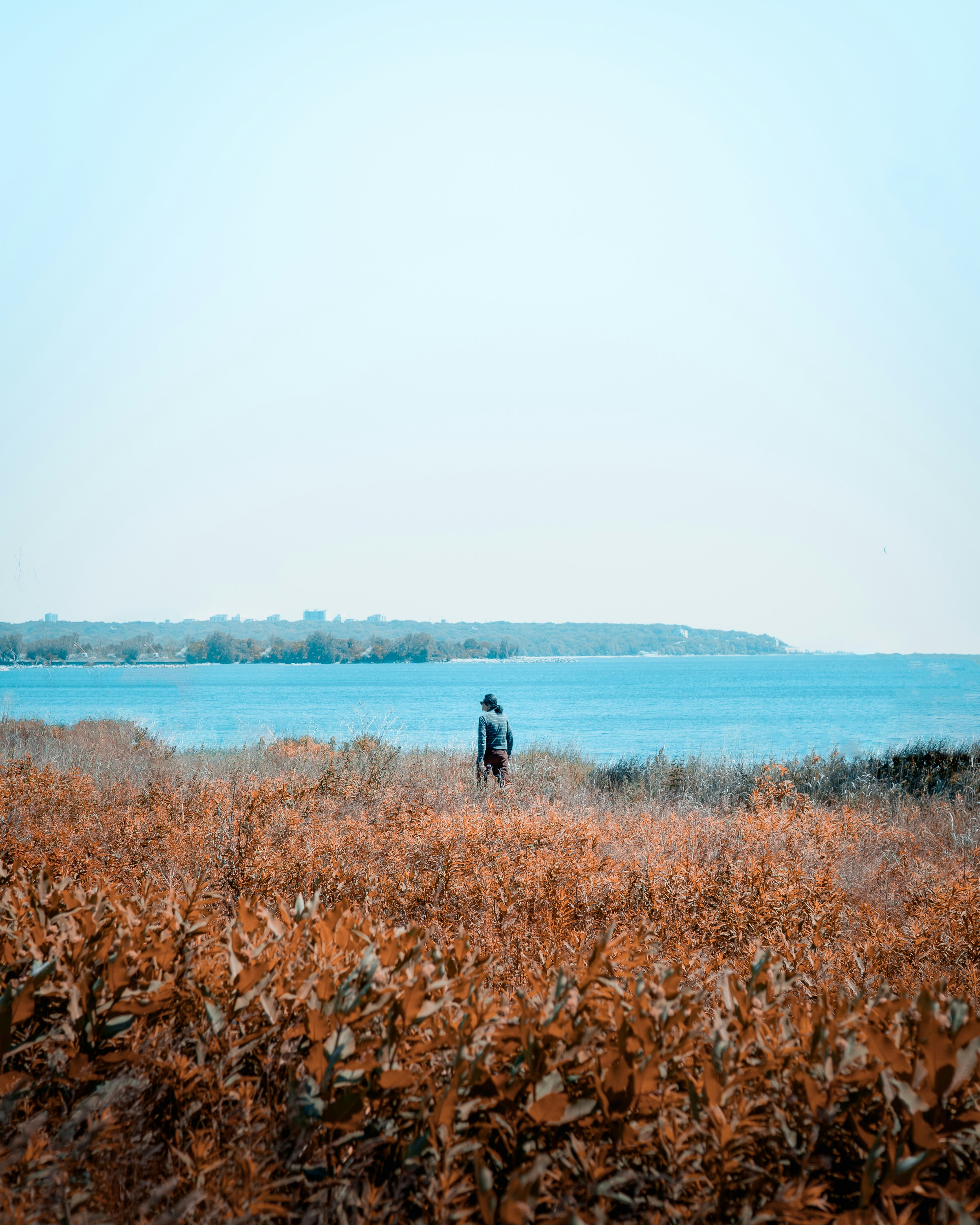 Photo by jeg90