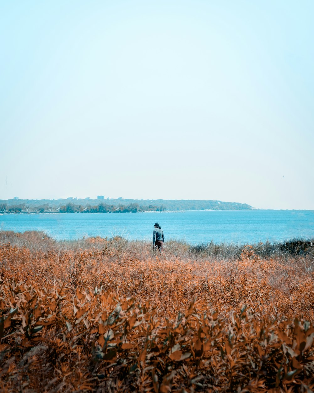 a person standing in a field next to a body of water