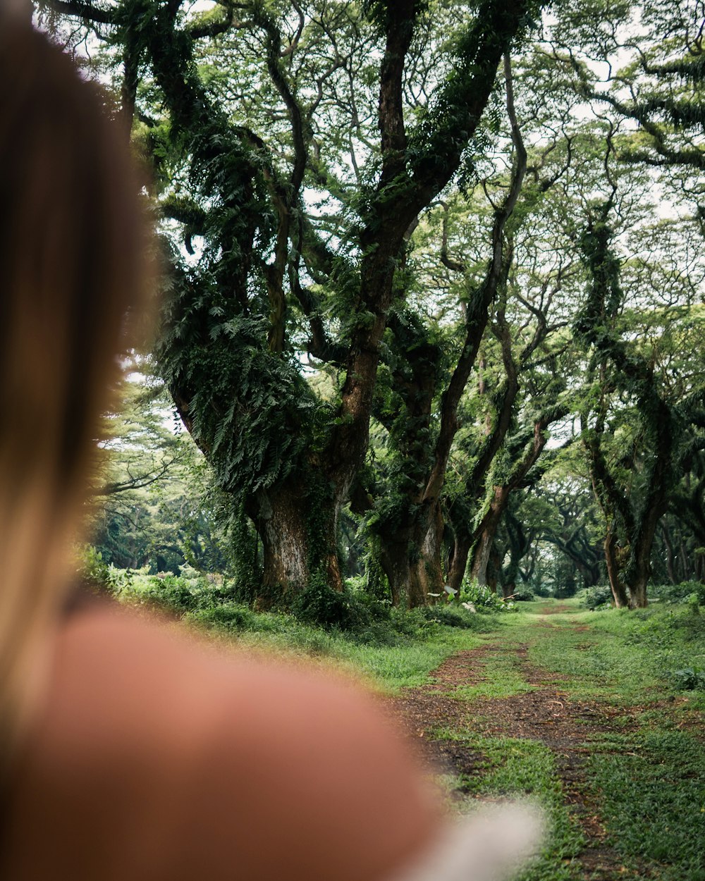 a woman standing in front of a forest filled with trees