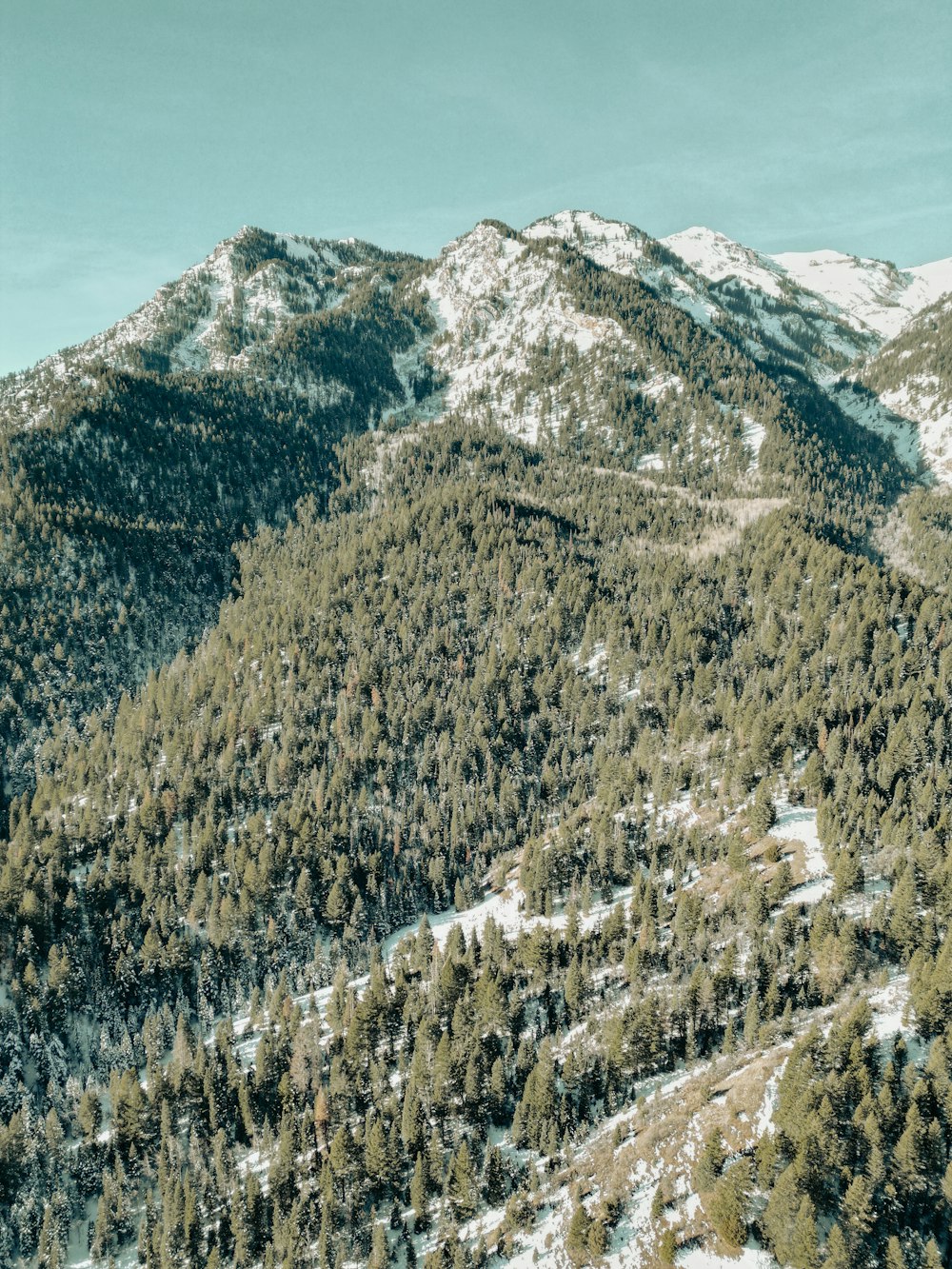 a mountain covered in snow with trees in the foreground