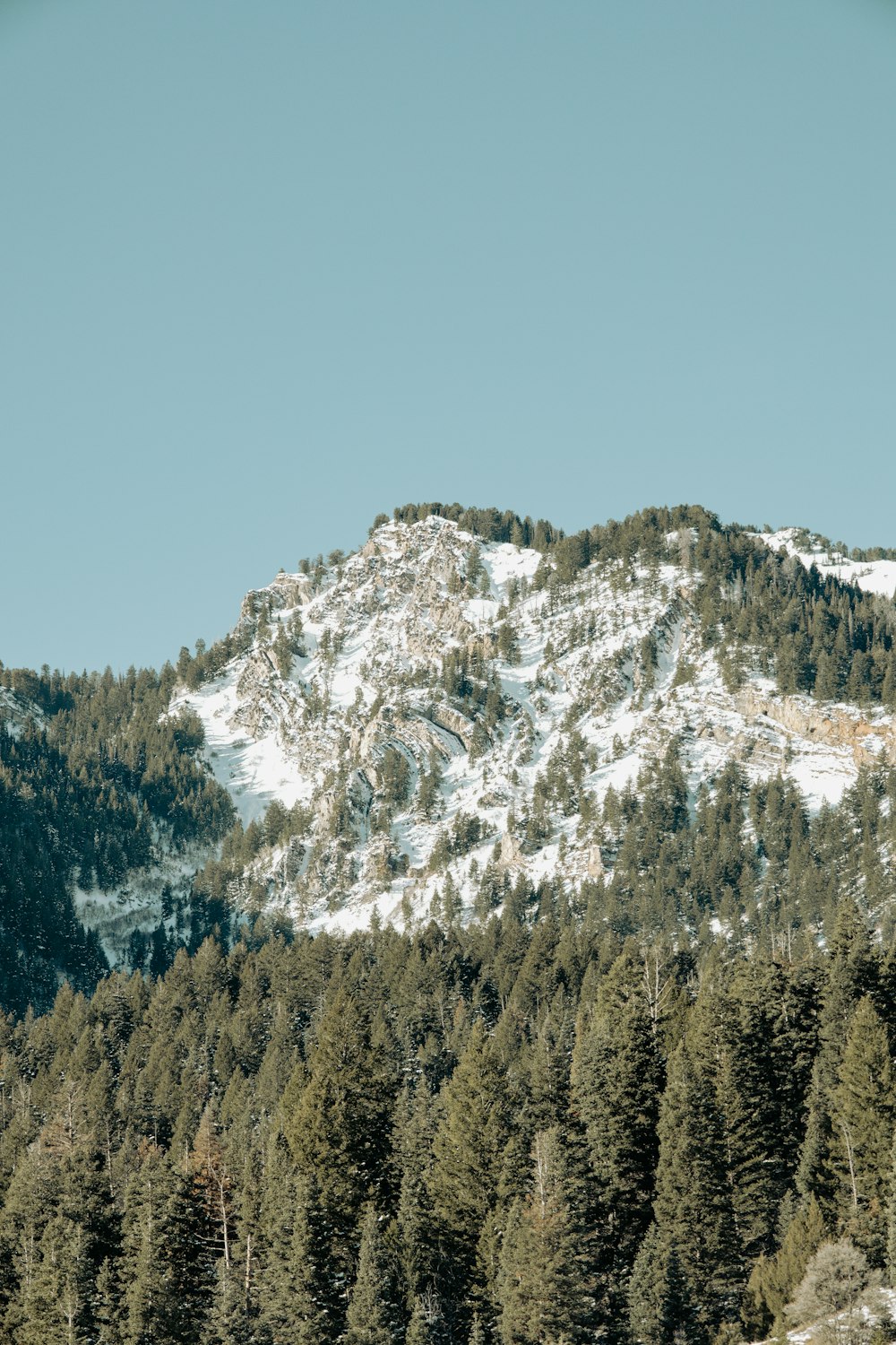 a mountain covered in snow next to a forest