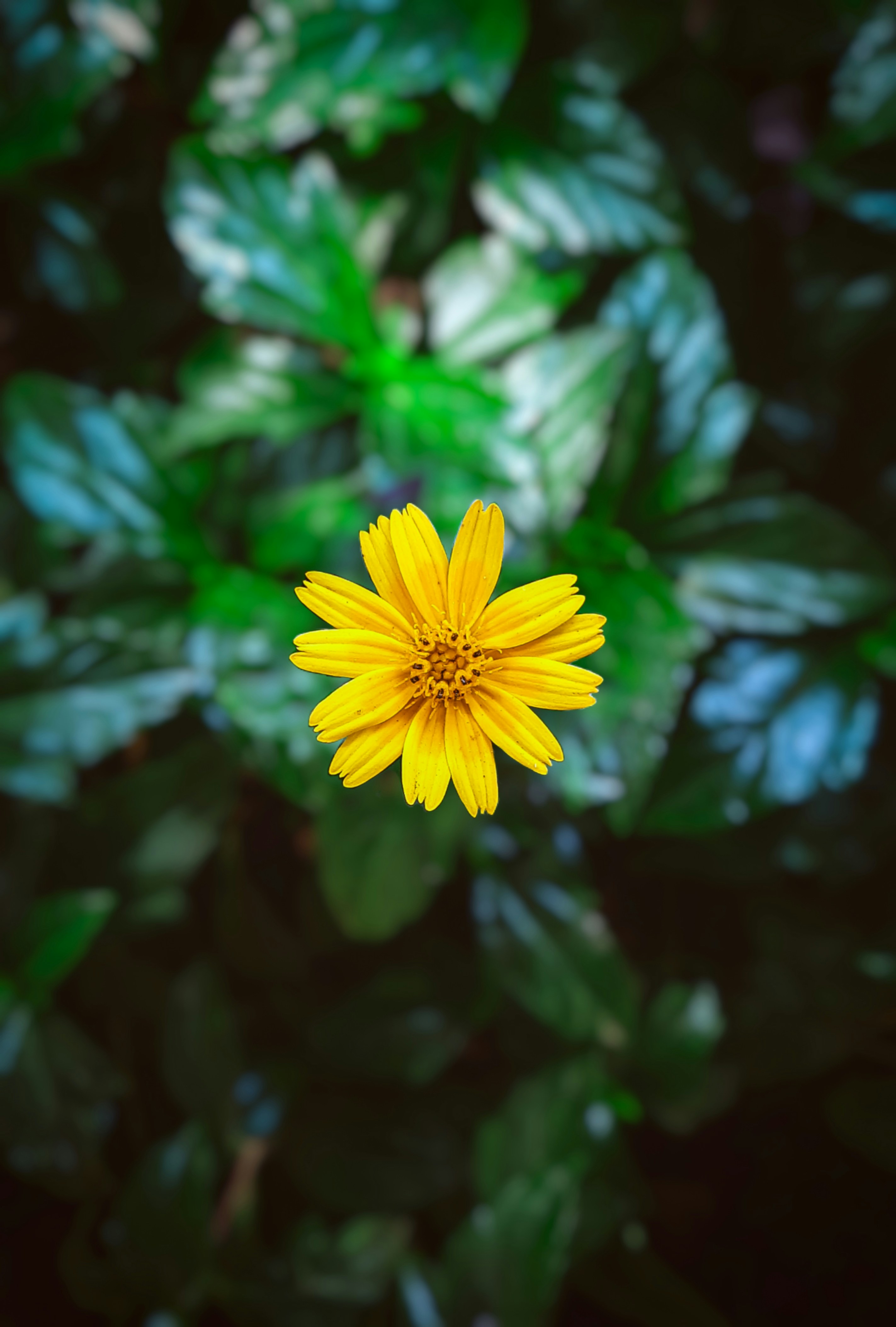 Photo by chaitanyasalunke_123