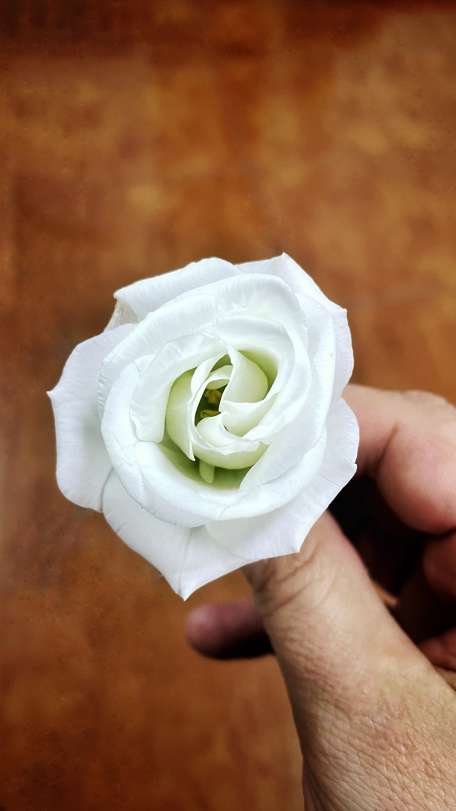woman wearing yellow long-sleeved dress under white clouds and blue sky during daytime