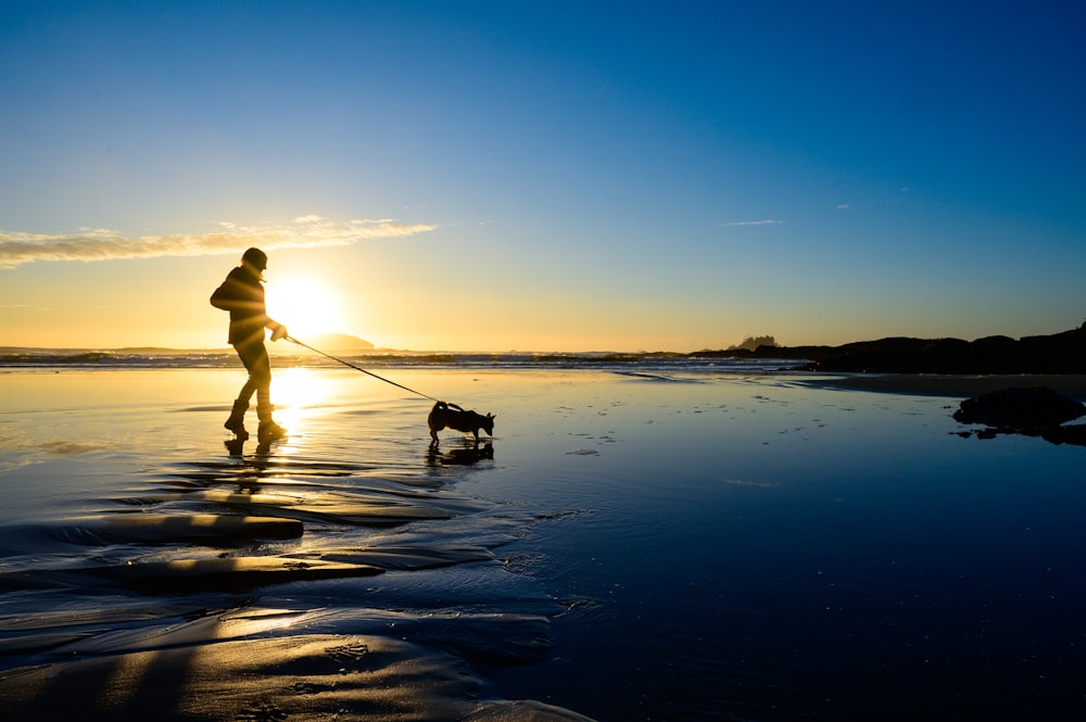 a person walking a dog on a beach at sunset