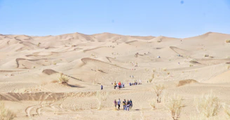 A vibrant desert landscape with tourists exploring under a clear blue sky.