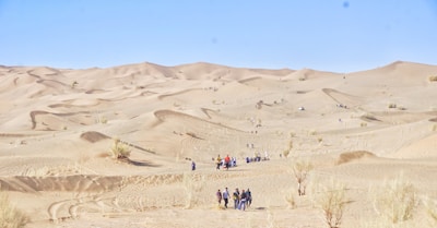 A vast desert landscape with rolling sand dunes and scattered sparse vegetation. Groups of people are walking and exploring the area, suggesting a tourist activity or hike. The clear blue sky enhances the arid beauty of the scenery.